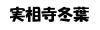LI鐧